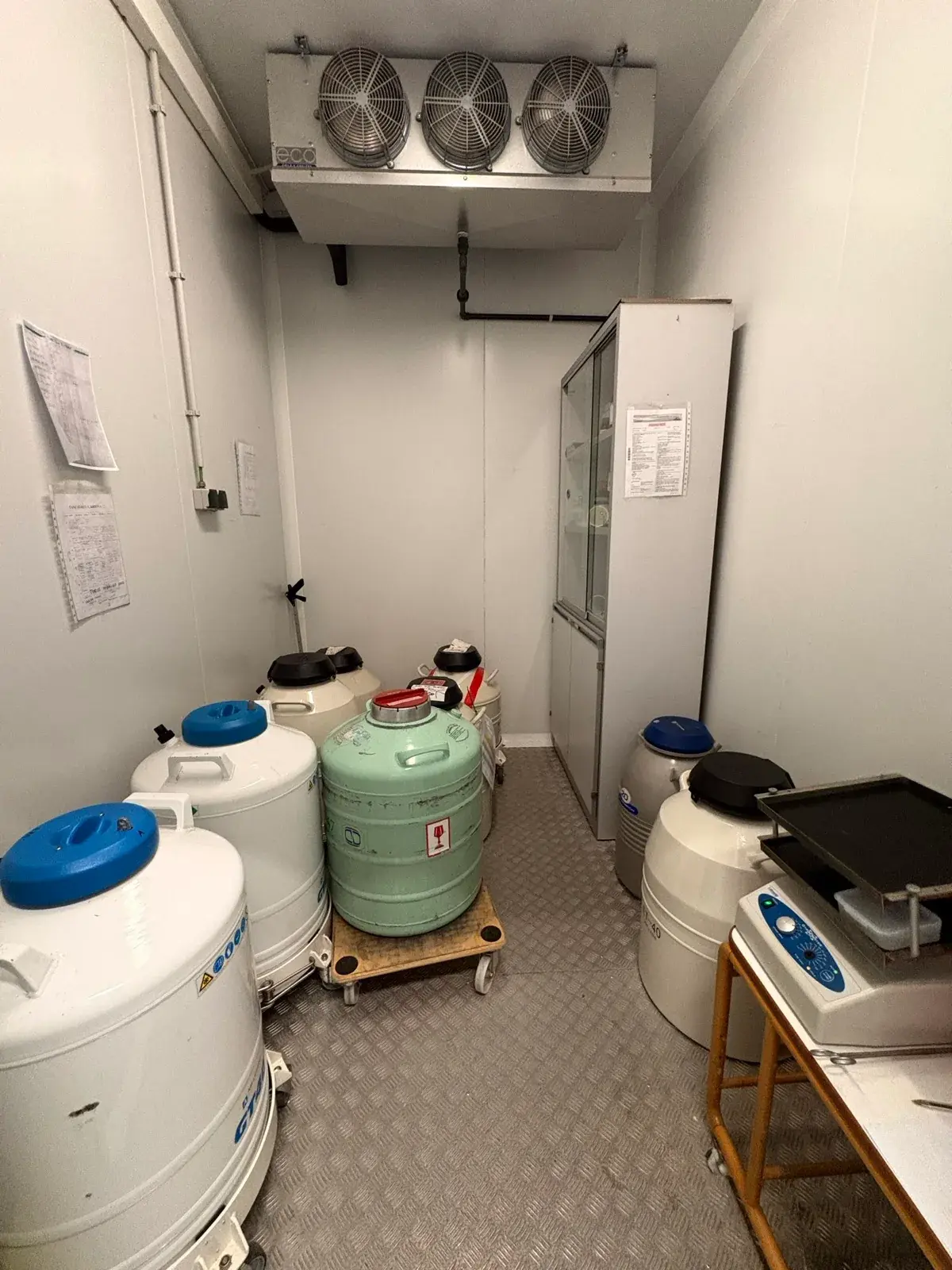 Instal·lacions i equipament del laboratori de TechnoSperm