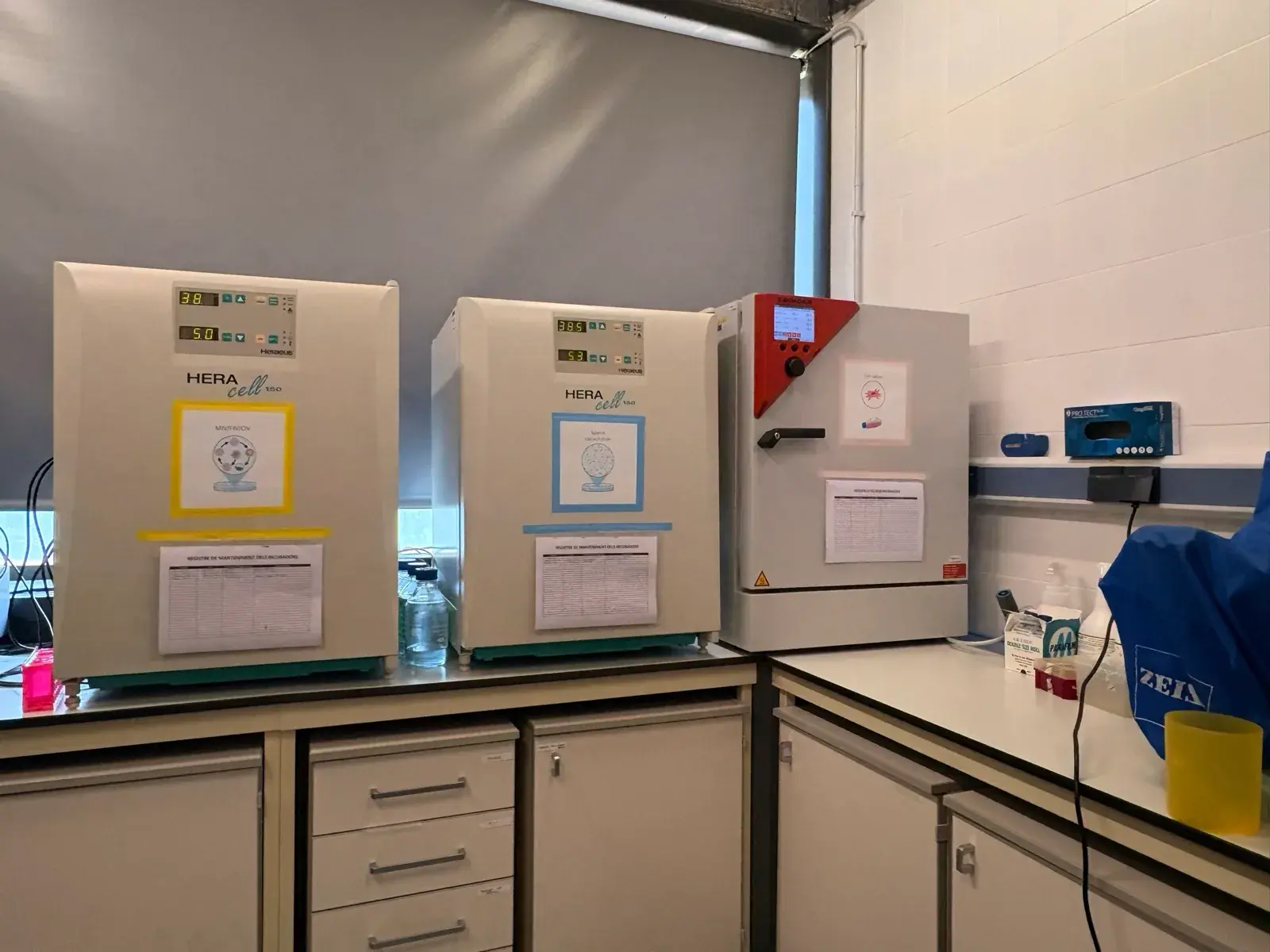 Instal·lacions i equipament del laboratori de TechnoSperm